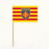 drapeau USAP